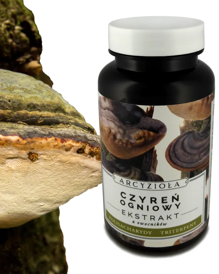 Czyreń ogniowy 50g