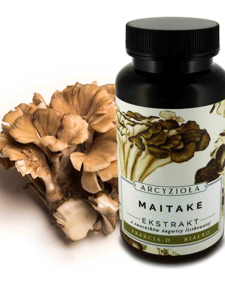 Maitake