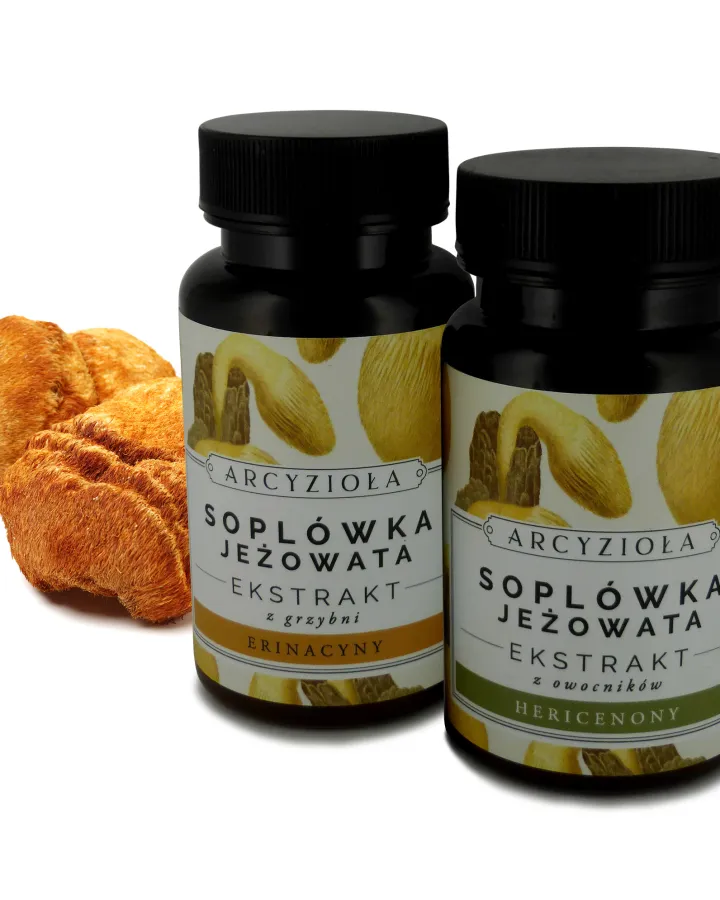 Soplówka jeżowata 2x30g